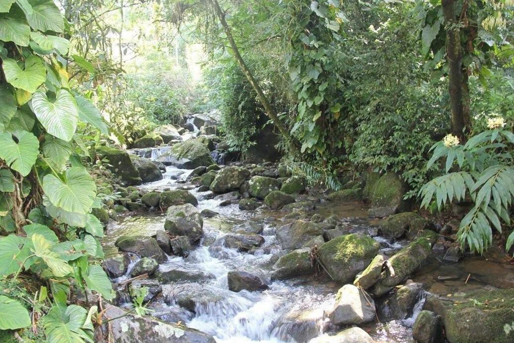 Dingo - Refugio Romantico Em Meio A Natureza 佩尼多 外观 照片