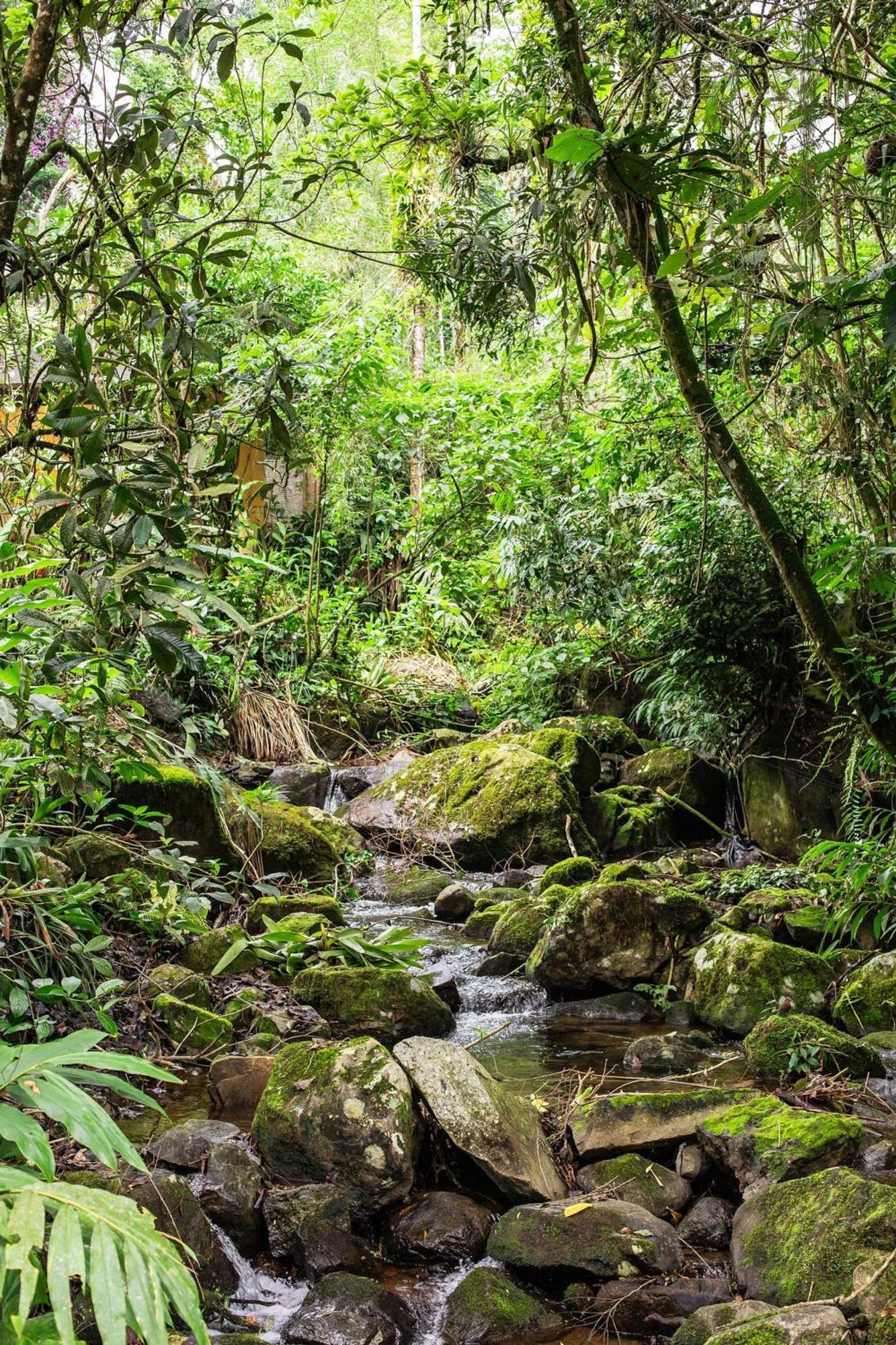Dingo - Refugio Romantico Em Meio A Natureza 佩尼多 外观 照片